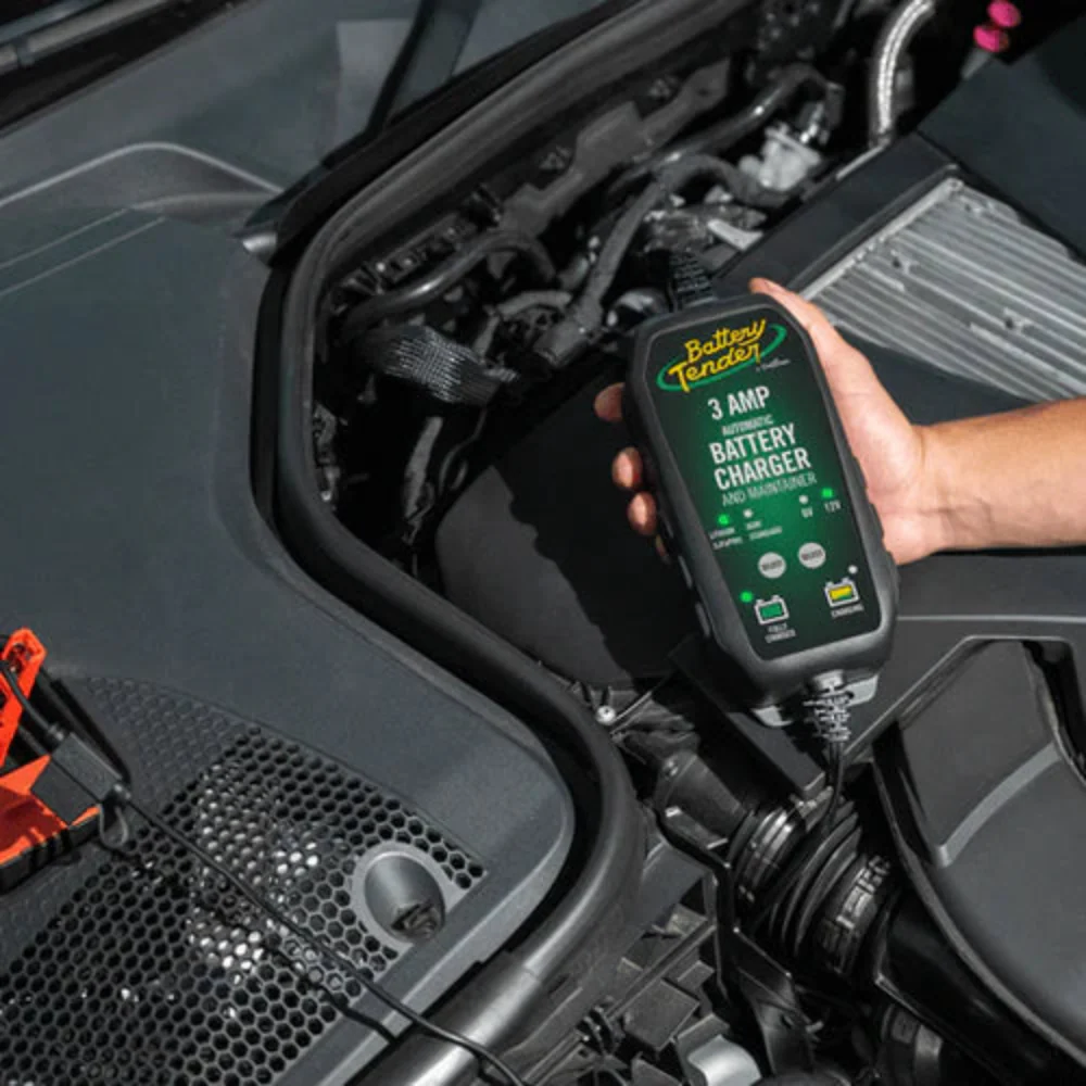 12V / 6V Switchable Battery Charger - Image 3