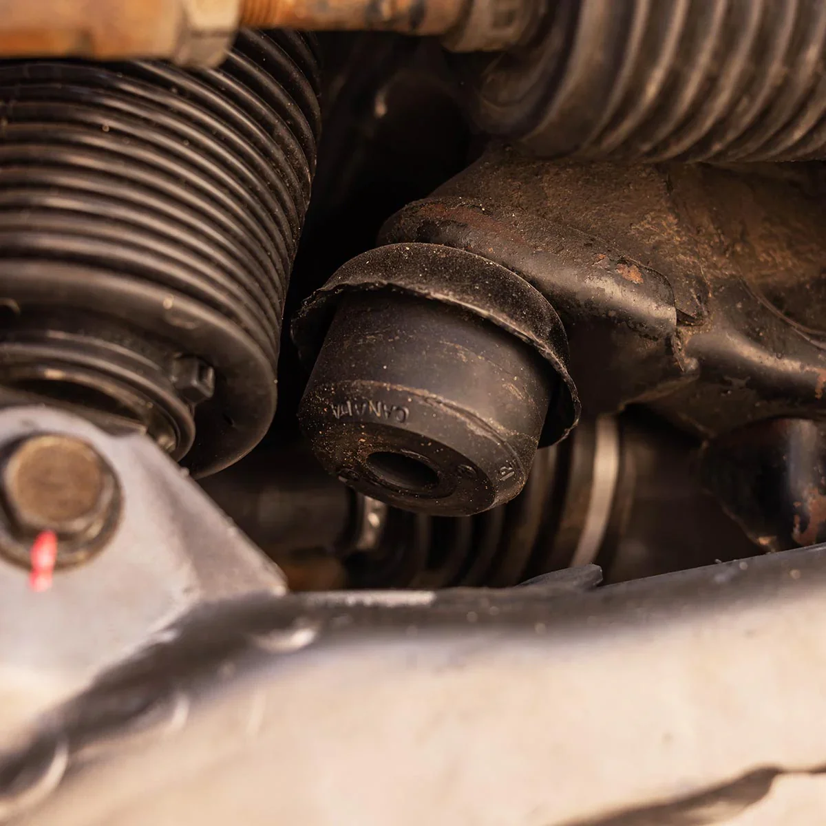 Active Off-Road Front Bump Stops Sequoia (2023+) - Image 4