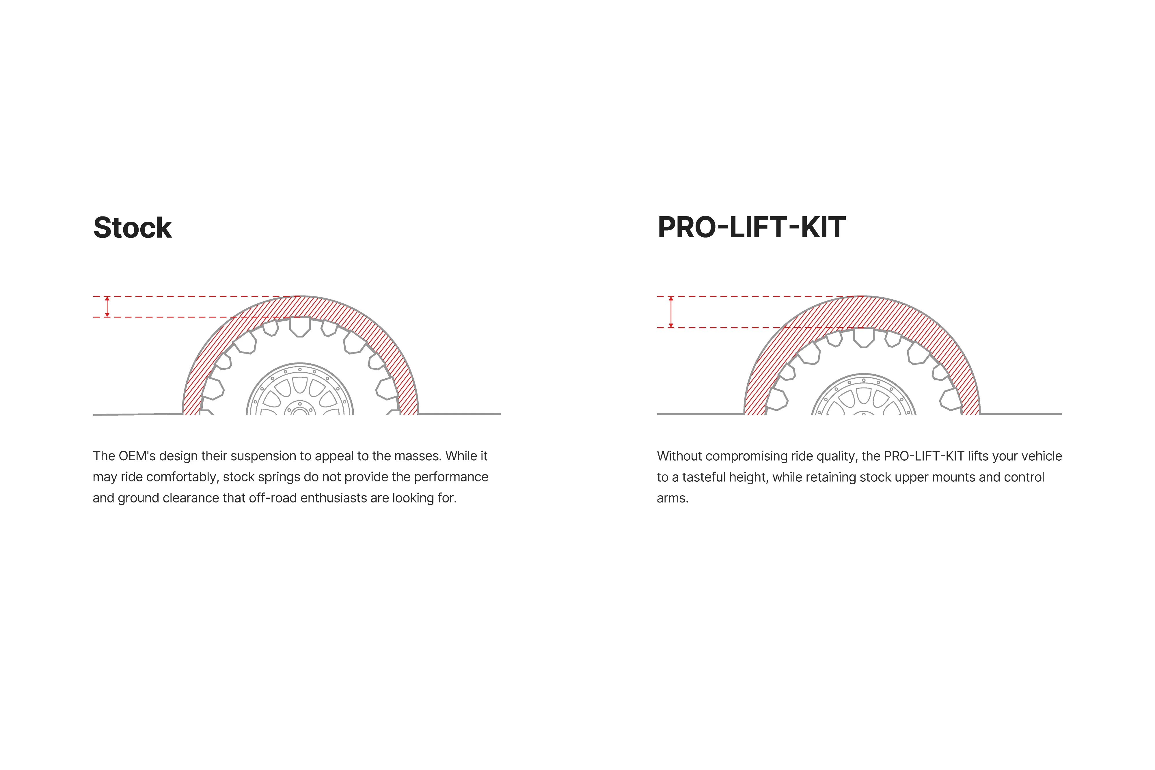 Front Springs Tacoma TRD Pro (2022-2023) - Image 2